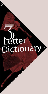 cover of '3 Letter Dictionary'