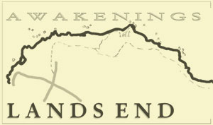 cover of Awakenings at Lands End